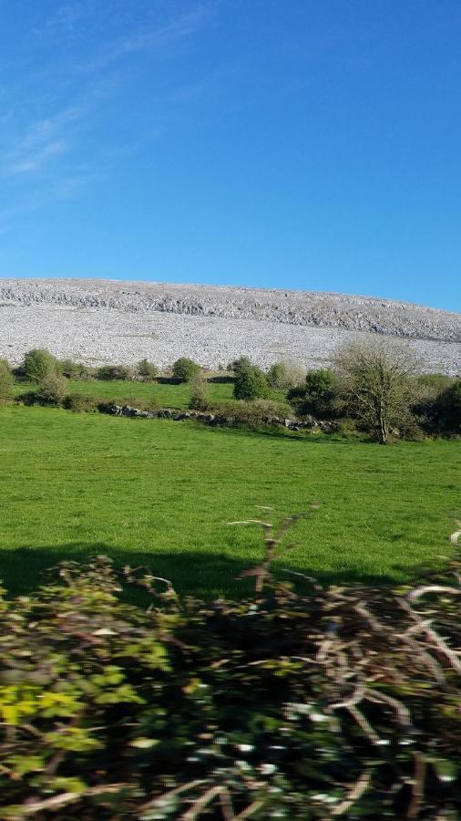 Burren Rock Farmhouse B&B Turlough  Buitenkant foto