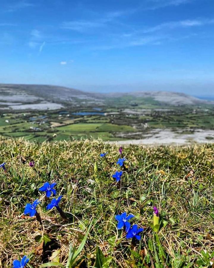 Burren Rock Farmhouse B&B Turlough  Buitenkant foto
